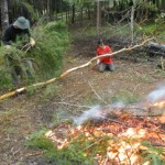 brushclear
