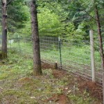 fencing1 fencing1