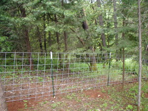 fencing2