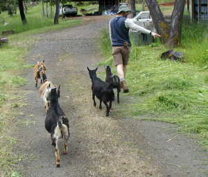 followingjeff1 Following Jeff...