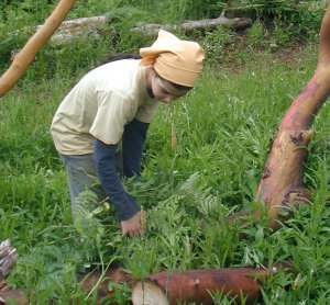 haniyabrackenferns Haniya cutting out bracken ferns...