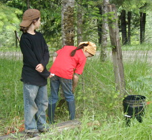 numupaintingtrees Naomi and Mikah protecting trees from nibbling goats... an experiment!