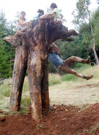 jeffswing Jeff Swinging on Tripod