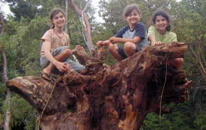 threekidstoptripod Three Kids Top of the Tripod