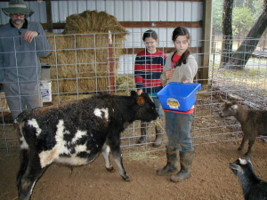 animal-shelter animal-shelter
