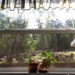 kitchen-window-thumb
