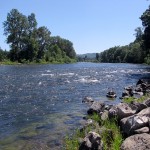 Umpqua Rive