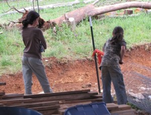 Mikah and Haniya extracted the t-posts of the pole barn fencing.