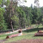 Temp fencing goes up to create pastures for the animals, getting them out of the driveway.