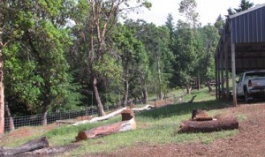 Temp fencing goes up to create pastures for the animals, getting them out of the driveway.
