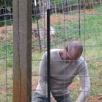 Jeff takes down the cattle panel fencing around the pole barn, now that the animals are out of the "people" areas.
