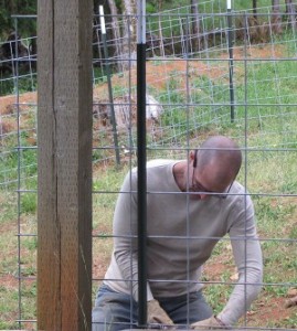 Jeff takes down the cattle panel fencing around the pole barn, now that the animals are out of the "people" areas.