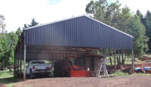Soon to be the permanent barn, when we close it in and create stalls and give it access to the pasture