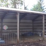 Temporarily, the barn, where feeding and milking take place.