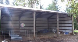 Temporarily, the barn, where feeding and milking take place.