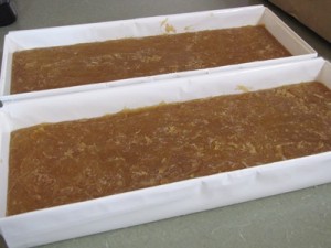 the cooked soap put in the molds (plastic drawer trays lined with freezer paper)