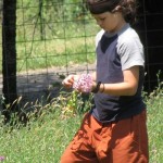 mikah-flowers-2