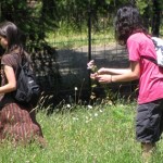 q-nu-backpacks-2