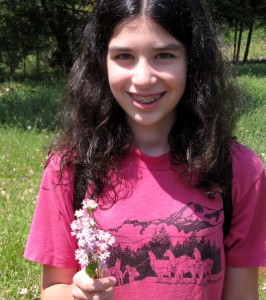 q-wildflowers