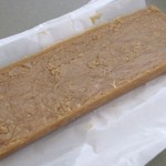 soap-out-of-mold just out of the mold