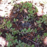 IMG_6628 IMG_6628
