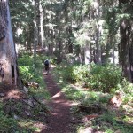 IMG_6675