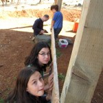 IMG_7284 IMG_7284