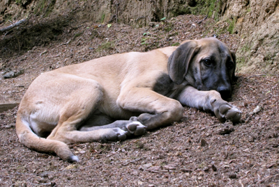 Areli needed some rest, too. Long, but wonderful, day.