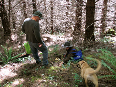 hunting-mushrooms